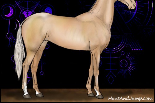 Horse Color:Silver Black Pearl Sabino 
