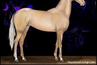 Horse Color:Silver Black Pearl Sabino 