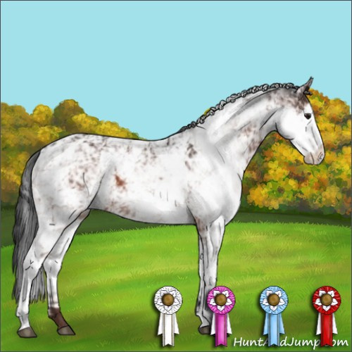 Horse Color:Brown Sabino Appaloosa 