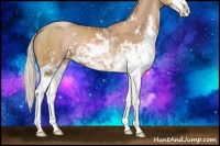 Horse Color:Silver Black Pearl Sabino 
