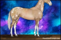 Horse Color:Silver Black Pearl Sabino 