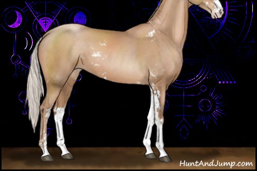 Horse Color:Silver Black Pearl Sabino 