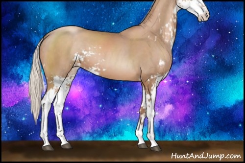 Horse Color:Silver Black Pearl Sabino 