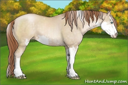 Horse Color:Smoky Grullo Pearl Sabino 