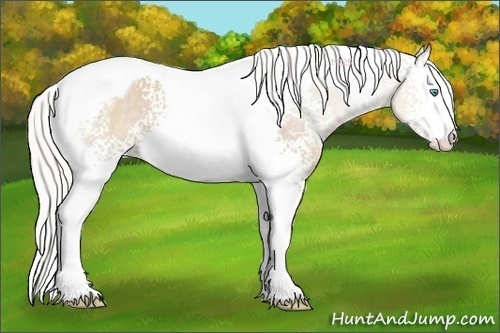 Horse Color:White Spotted Silver Smoky Creme Tobiano 