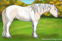Horse Color:Perlino Tobiano 