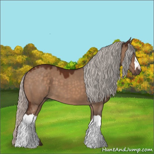 Horse Color:Silver Brown Dun 