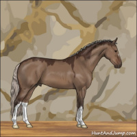 Horse Color:Silver Brown Dun