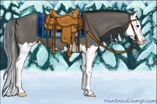 Horse Color:Grullo Splash 