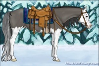 Horse Color:Grullo Splash