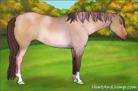 Horse Color:Chocolate Brown Dun