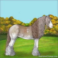 Horse Color:White Spotted Liver Red Dun Sabino 