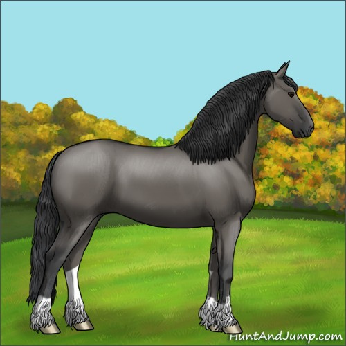 Horse Color:Grullo 