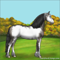 Horse Color:Grullo Sabino Frame Brindle