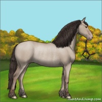 Horse Color:Classic Champagne Dun Rabicano