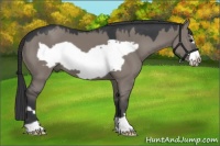 Horse Color:Platinum Grullo Frame 