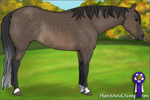 Horse Color:Brown Dun Rabicano