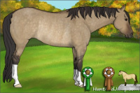 Horse Color:Buckskin Dun Rabicano 