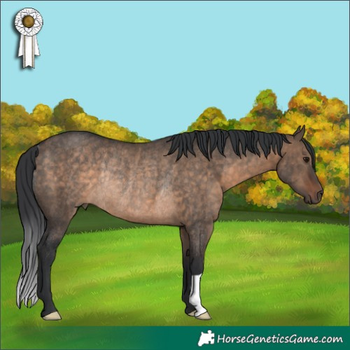 Horse Color:Brown Dun Rabicano 