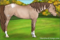 Horse Color:Brown Pearl Varnish 