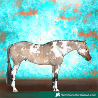 Horse Color:White Spotted Brown Dun Brindle 