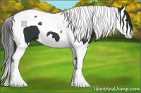 Horse Color:Black Splash Tobiano 