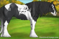 Horse Color:Black Splash Tobiano 