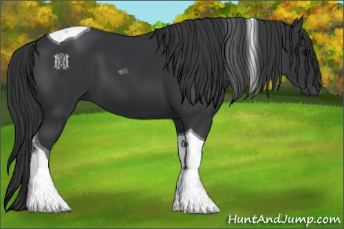 Horse Color:Black Tobiano 