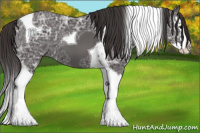 Horse Color:Smoky Black Ice Splash Tobiano 