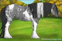 Horse Color:Black Ice Tobiano