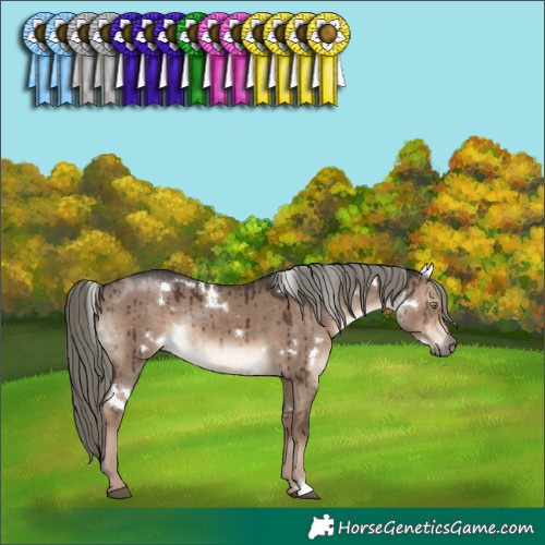 Horse Color:White Spotted Liver Red Dun Mushroom Rabicano Brindle 