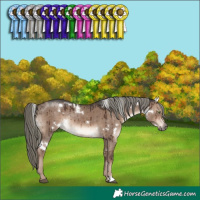 Horse Color:White Spotted Liver Red Dun Mushroom Rabicano Brindle 
