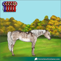 Horse Color:White Spotted Liver Red Dun Mushroom Rabicano Brindle