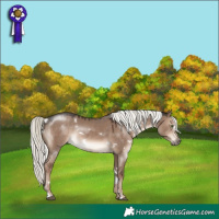 Horse Color:White Spotted Liver Red Dun Mushroom Rabicano 