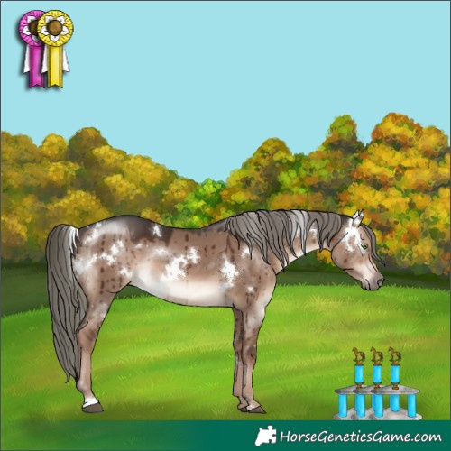 Horse Color:White Spotted Liver Red Dun Mushroom Rabicano Brindle 