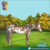 Horse Color:White Spotted Liver Red Dun Mushroom Rabicano Brindle