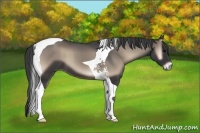 Horse Color:Blue Onyx Tobiano 