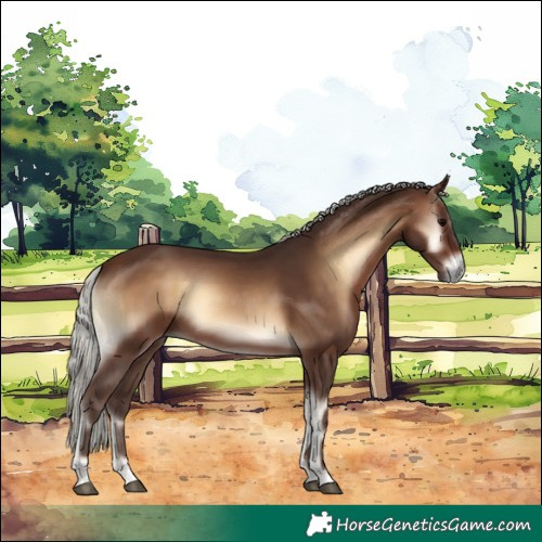 Horse Color:Silver Brown Onyx