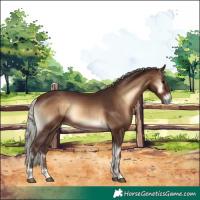 Horse Color:Silver Brown Onyx 