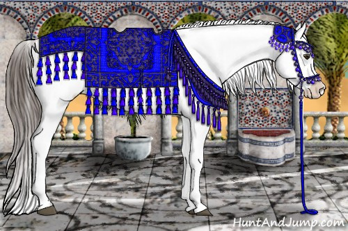 Horse Color:Liver Chestnut Appaloosa 