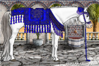 Horse Color:Liver Chestnut Appaloosa 