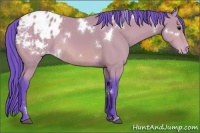 Horse Color:Watercolor White Spotted Bay Varnish Rabicano 