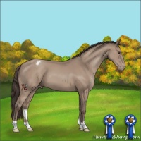 Horse Color:Classic Champagne Appaloosa 