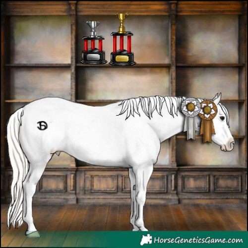 Horse Color:Silver Buckskin Roan Onyx Appaloosa 