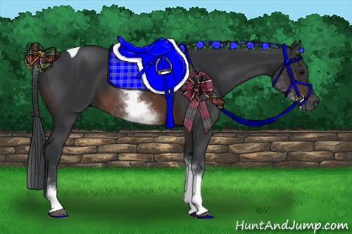 Horse Color:White Spotted Brown Tobiano