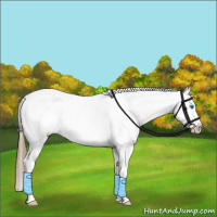 Horse Color:Bay Splash Appaloosa Rabicano 