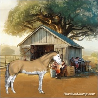 Horse Color:Buckskin Splash 