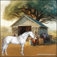 Horse Color:Gray Chestnut Splash 