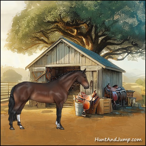 Horse Color:Brown 