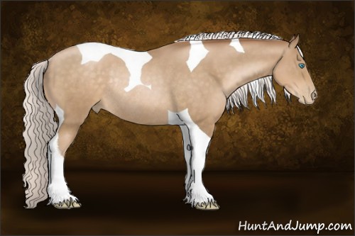 Horse Color:Silver Smoky Black Pearl Tobiano Rabicano 